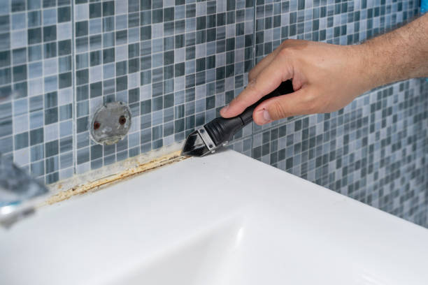 Professional Mold Remediation in Morse, LA